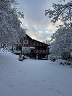 Alte Mühle- das Ferienhaus mitten im Grünen - Meschede - 0