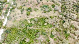 Arcadia East Africa Bush Camp - Kilifi - 3