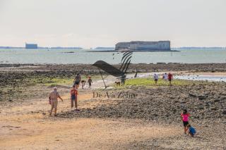 L'impasse des Vagues - Logement tout confort proche des plages - 5