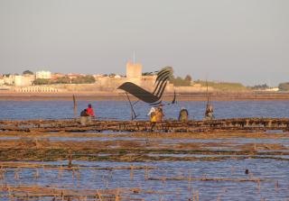 L'impasse des Vagues - Logement tout confort proche des plages - 1
