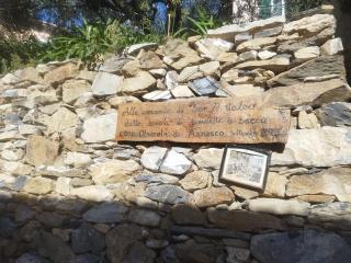 Serenità tra gli ulivi - Arnasco - 2