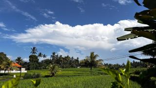 Villa Neyang - Ubud - 7