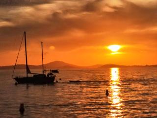 Petit Nid douillet 50 m de la plage - 7