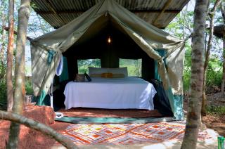 Arcadia East Africa Bush Camp - Kilifi - 0