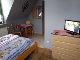 Apartamenty Pokoje Zakopane PKP 700m Centrum 1200m - Zakopane - 2