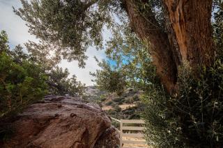 House Verg, heavenly escape up to 4 guests! - Triopetra - 4