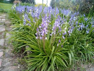 Rose Berry Air b&b stay - Temuka - 8