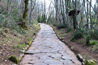 Appartamento Rocca di Papa - Rocca di Papa - 2
