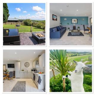 1 Bedroom Holiday let in the Heart of West Wales - Carmarthen - 0