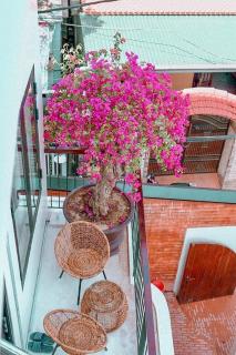 Florence Villa Hue - 3