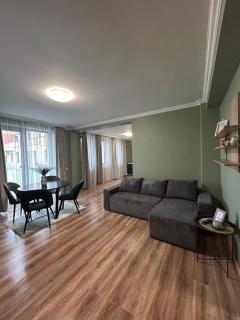 Becca’s Downtown Apartment with private parking - Oradea - 4
