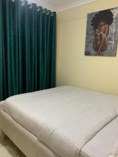Shee homes, Mirema drive Roysambu - Nairobi - 3