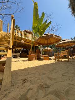 Surf lodge - 6