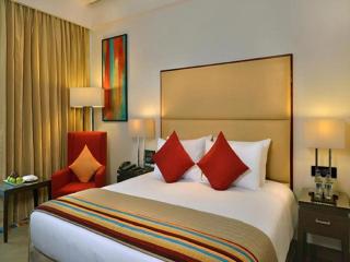 Hotel Royal Infinity Near Delhi Airport - New Delhi - 4
