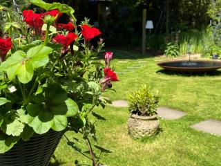 Loch Lomond Hideaways - Drymen - 4
