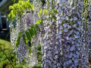 FeWoHuett - Ferienhaus in den Hüttener Bergen - 3