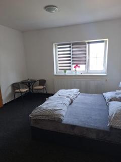 Apartmán U Radka - Chodov - 8