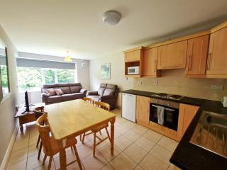 Ceann Boirne Apartments - Galway - 1