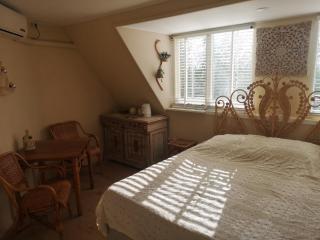 Modern Cozy Asian Style bedroom with Kingsize Spa bath - Westbeemster - 9