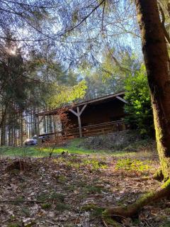 Chalet de la Folie - Martelange - 1