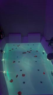 Villa piscine jacuzzi Montpellier - 3