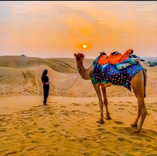 Jaisalmer Sand Dunes Luxury Camp And Resort By Royal Empire - 6