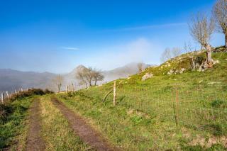 Picuastur - Cangas de Onís - 6