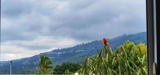 Location Azuria Saint-Leu - Saint-Leu - 2