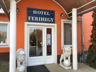 Hotel Ferihegy - Vecsés - 0