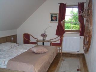 Apartment 53 Zvíkovské Podhradí - 3