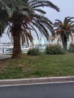 Appartement T2 vue Marina 2QMAR15 apartment one bedroom marina view - Canet-en-Roussillon - 7