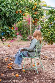 Kirshner Farm - Bethlehem - 3