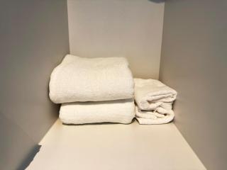 Elegant 1 bedroom apartment with great facilities and perfect location - Manila - 9