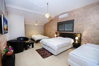 אחוזת מצפה שני הימים-וילת 7 חדרים עם בריכה מחוממת וג'קוזי ספא - 7