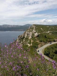 Studio magnolia - Sainte-Anastasie-sur-Issole - 4