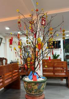 Thiên Tài Hotel - Ho Chi Minh - 5