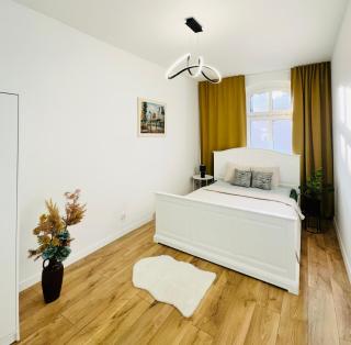 Poznań Strzelecka OLD TOWN - 0