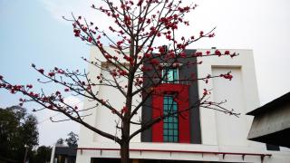 Max Hotels Jabalpur - 7