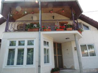 Casa Debora - Haţeg - 9