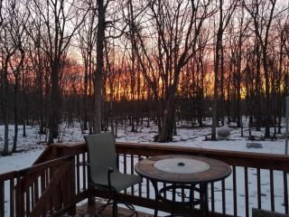 Serenity and Fun all in one in this Cozy Pocono Cabin - 7