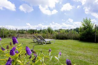 Tiny house XL - Vakantiepark De Kremmer - 8