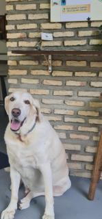 Di Pipa Rooms - Hidromassagem Externa - Pipa - 6