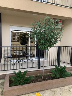 Green lime - Tivat - 4