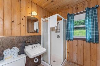 TB 2 Thunder Bay Resort Cabin 2 - Phelps - 5