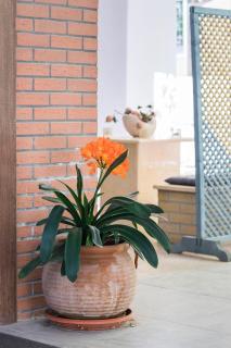 Glyfada's Cosy Apartments - Atene - 2