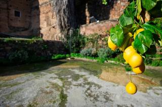 Caleros 34 Centro Histórico con patio by keyhom - Cáceres - 4