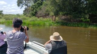 Spot Jaguar Pantanal South Camping Wild Jaguar Tour - 9