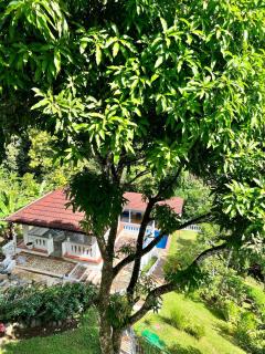Traditional Villa for up to 16 Guest in Jarabacoa - Jarabacoa - 8