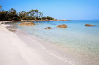 Résidence LES CALANQUES route des sanguinaires- Piscine - Parking & Wifi Gratuit - Plage - Ajaccio - 5