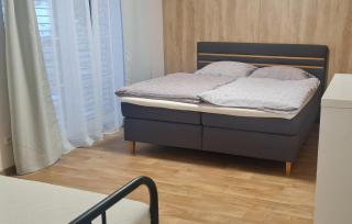 Apartmán Lesněnka - Říčky - 2